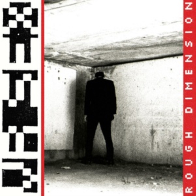 VR SEX - ROUGH DIMENSION - LP Vinyl