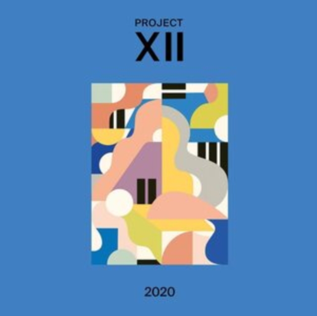 VARIOUS ARTISTS - XII 2020 - LP Vinyl