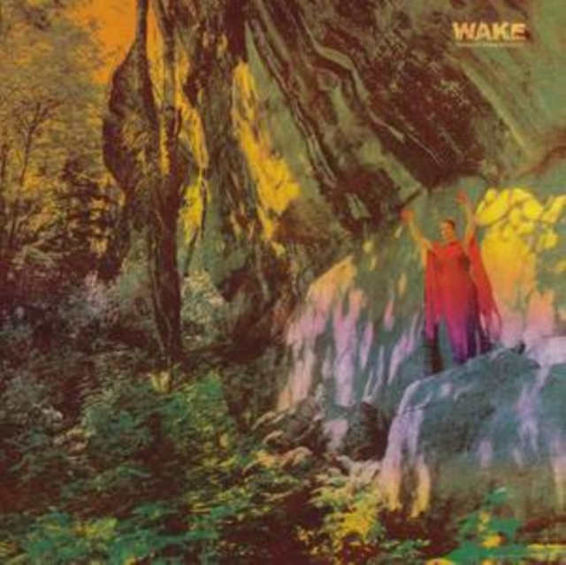 WAKE - THOUGHT FROM DESCENT - LP Vinyl