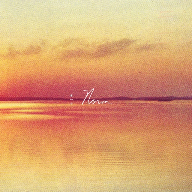 ANDY SHAUF - NORM - LP Vinyl