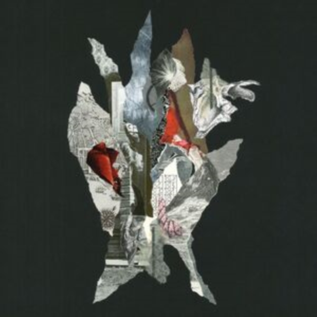 0053517203099.jpg ALAS DE LIONA - GRAVITY OF GOLD - LP Vinyl