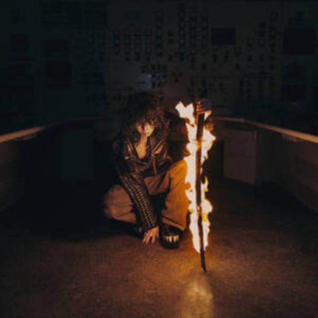 (PRE-ORDER) JANE REMOVER - REVENGESEEKERZ (2LP) - LP Vinyl