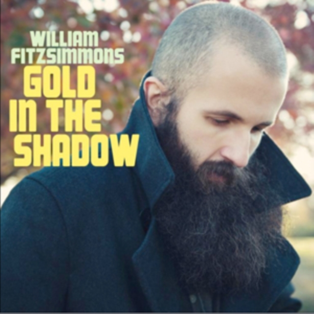 WILLIAM FITZSIMMONS - GOLD IN THE SHADOW - LP Vinyl