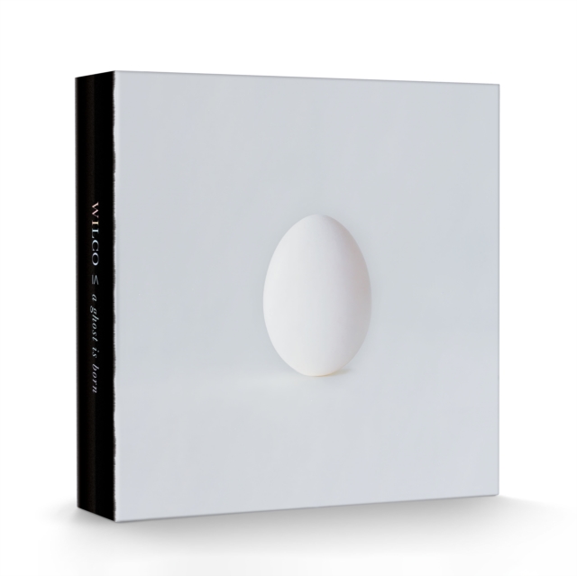 WILCO - GHOST IS BORN (DELUXE/9LP/4CD BOX SET) - LP Vinyl