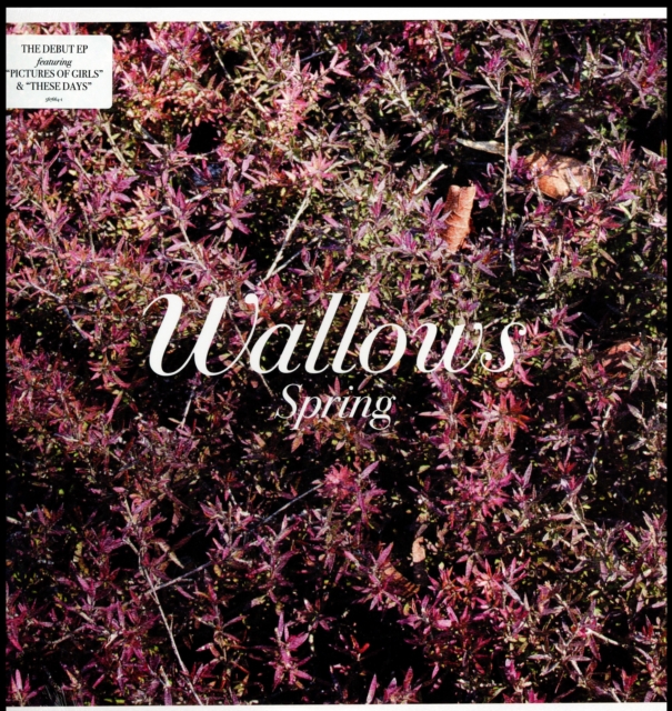 0075678657641-4.jpg WALLOWS - SPRING EP (X) (PINK & GREEN VINYL) - LP Vinyl