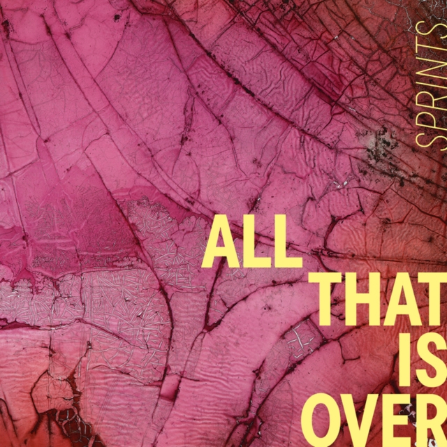 (PRE-ORDER) SPRINTS - ALL THAT IS OVER (PINK MARBLE VINYL) - LP Vinyl