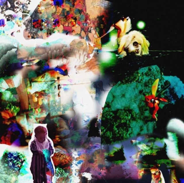 ACIDHEAD - DISTRACTIONS - LP Vinyl