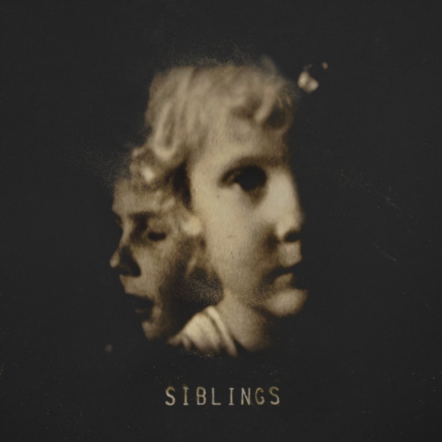 0190296810152.jpg ALEX SOMERS - SIBLINGS - LP Vinyl