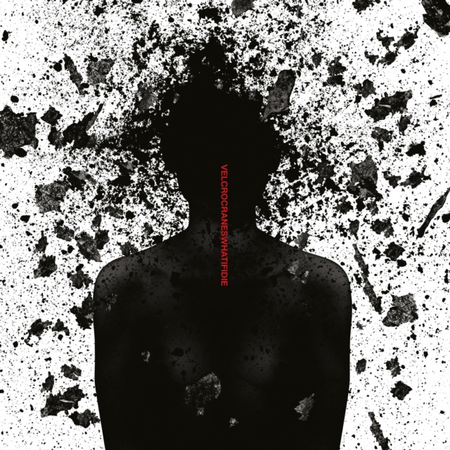 (PRE-ORDER) VELCROCRANES - WHAT IF I DIE HQ - LP Vinyl