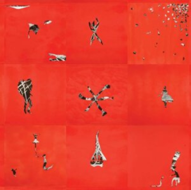 ANIMAL COLLECTIVE - HOLLINNDAGAIN - LP Vinyl