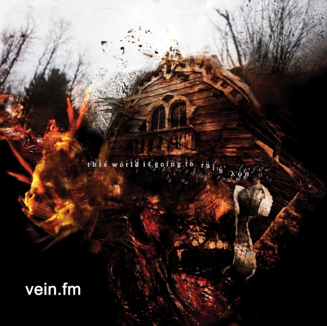 VEIN.FM - THIS WORLD IS GOING TO RUIN YOU (RED & BLACK GALAXY MIX VINYL) - LP Vinyl