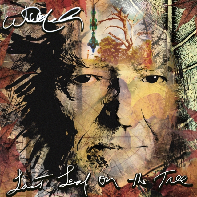 WILLIE NELSON - LAST LEAF ON THE TREE (AMBER FOSSIL VINYL/2LP) - LP Vinyl