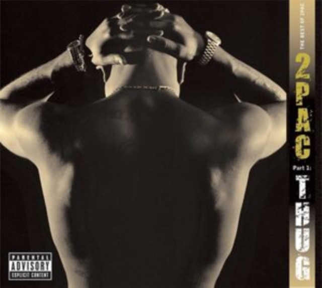 2PAC - BEST OF 2PAC (2LP) - LP Vinyl