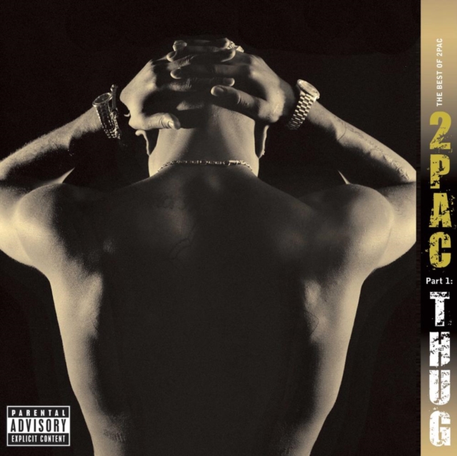 2PAC - BEST OF 2PAC - PART 1: THUG (2LP) - LP Vinyl