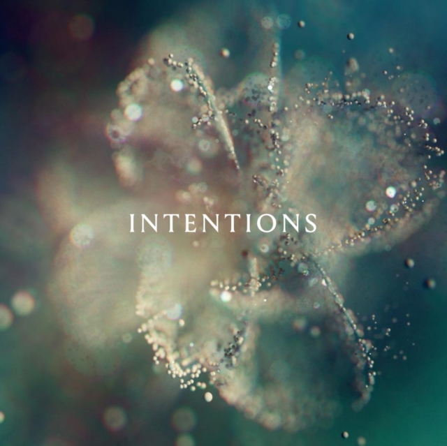 ANNA - INTENTIONS (2LP) - LP Vinyl