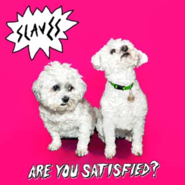 (PRE-ORDER) SOFT PLAY - ARE YOU SATISFIED? (2LP) - LP Vinyl