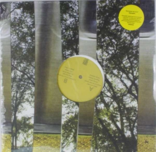 YOU BLEW IT - KEEP DOING WHAT YOU'RE DOING - LP Vinyl