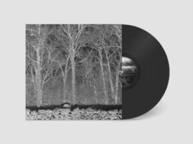 (PRE-ORDER) PILE - SUNSHINE & BALANCE BEAMS - LP Vinyl