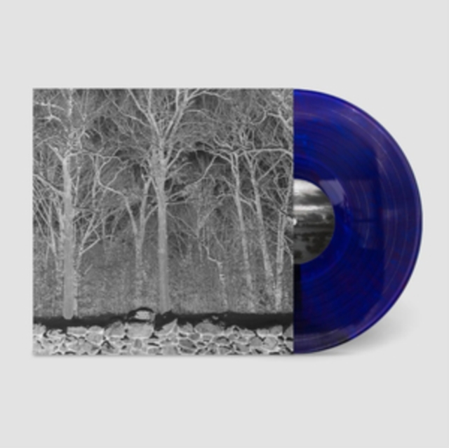 (PRE-ORDER) PILE - SUNSHINE & BALANCE BEAMS (TRANSPARENT MIX BORIS PURPLE VINYL) (I) - LP Vinyl