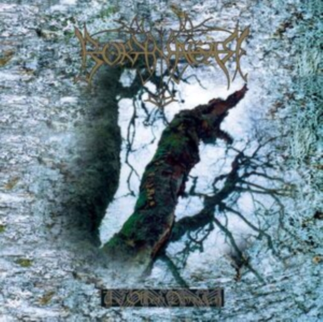 (PRE-ORDER) BORKNAGAR - OLDEN DOMAIN (RED VINYL/DELUXE) - LP Vinyl
