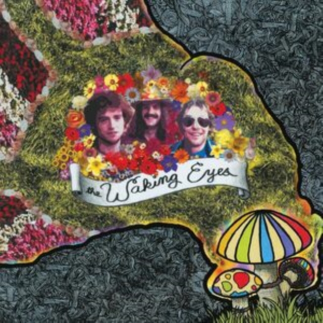 WAKING EYES - COMBING THE CLOUD - LP Vinyl