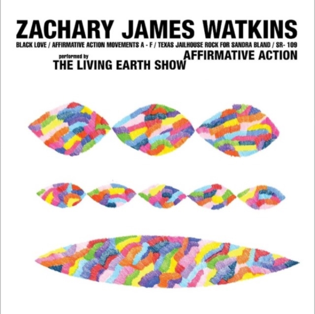 ZACHARY JAMES WATKINS - AFFIRMATIVE ACTION - LP Vinyl