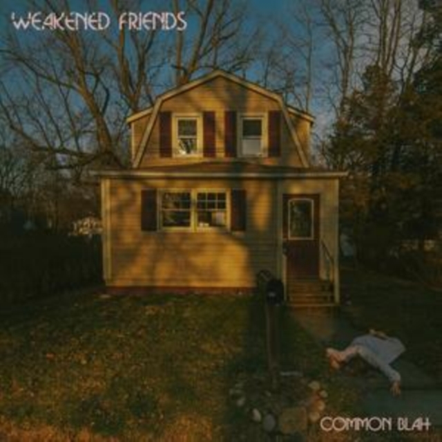 0634457173415-2.jpg WEAKENED FRIENDS - COMMON BLAH (PURPLE VINYL) - LP Vinyl