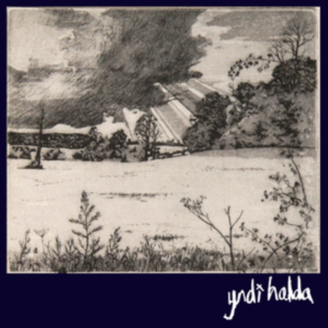 YNDI HALDA - ENJOY ETERNAL BLISS - LP Vinyl