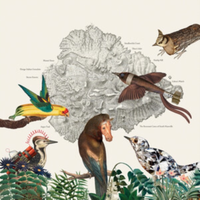 (PRE-ORDER) FRIENDLY RICH - BIRDS OF MARSVILLE - LP Vinyl