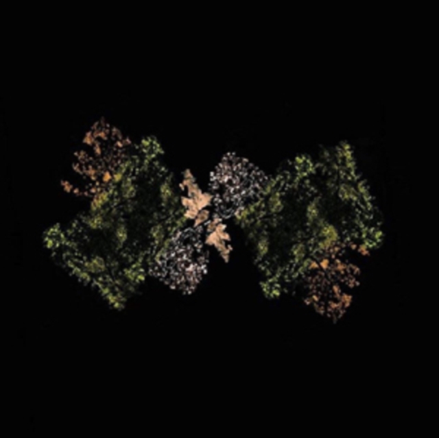 WOODSMAN - WOODSMAN - LP Vinyl