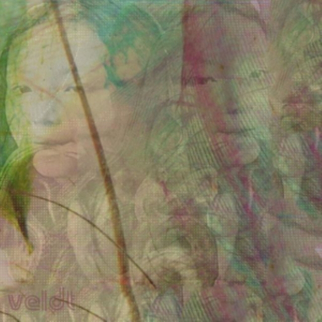 VELDT - SYMMETRY / SLOW GRIND - 7 inch Vinyl