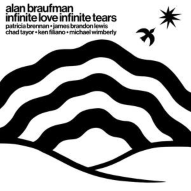 0650384037811-2.jpg ALAN BRAUFMAN - INFINITE LOVE INFINITE TEARS - LP Vinyl