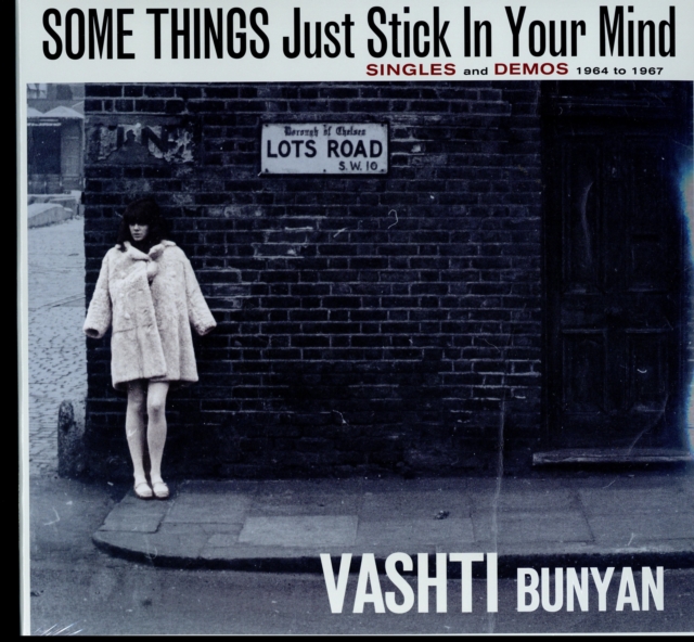 VASHTI BUNYAN - SOME THINGS JUST STICK IN YOUR MIND (2LP) - LP Vinyl