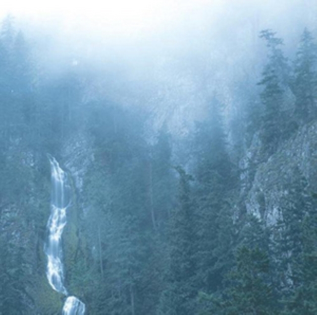 WOLVES IN THE THRONE ROOM - DIADEM OF 12 STARS - LP Vinyl