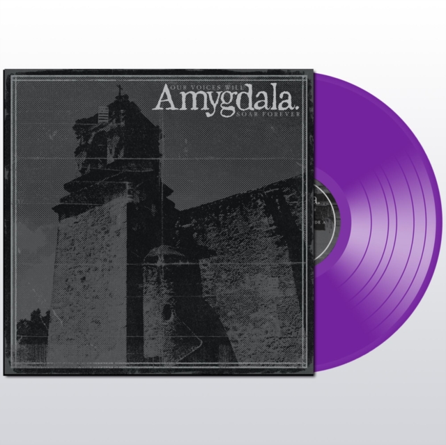 AMYGDALA - OUR VOICES WILL SOAR - LP Vinyl