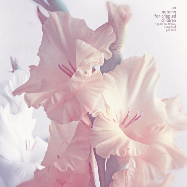 AN AUTUMN FOR CRIPPLED CHILDREN - TRY NOT TO DESTROY EVERYTHING YOU LOVE - LP Vinyl