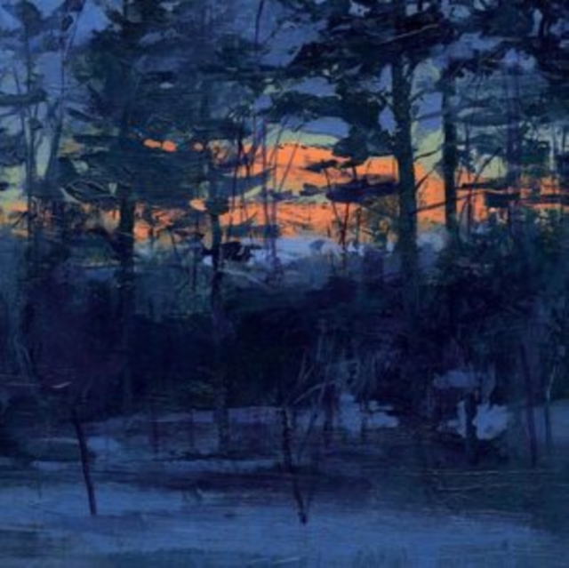 ANIMAL HOSPITAL - SHELF LIFE - LP Vinyl