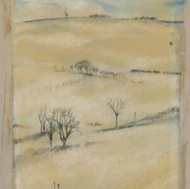 AMY DUNCAN - WAKE - LP Vinyl