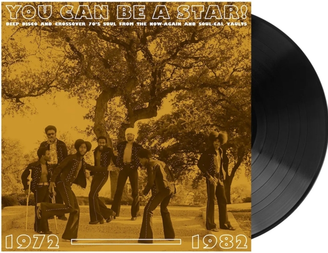 VARIOUS ARTISTS - YOU CAN BE A STAR!: DEEP DISCO & CROSSOVER 70S SOUL FROM THE NOW- - LP Vinyl