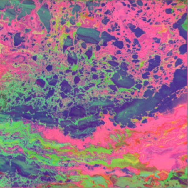 XYLA - WAYS - LP Vinyl