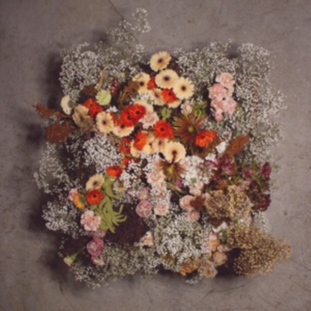 WE ARE THE WILLOWS - IV - LP Vinyl