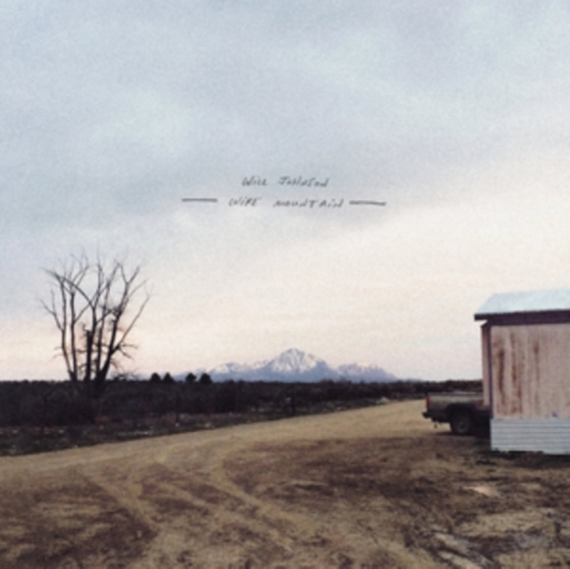 WILL JOHNSON - WIRE MOUNTAIN - LP Vinyl