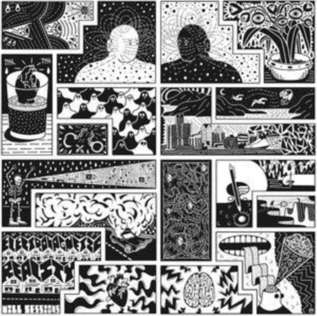 WILL SESSIONS - ELECTROMAGNETIC REALITY - LP Vinyl