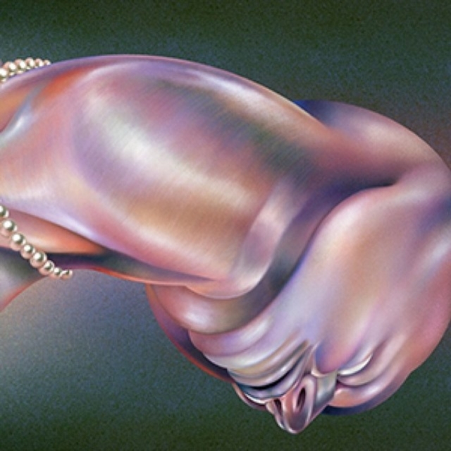 WALT DISCO - WARPING - LP Vinyl