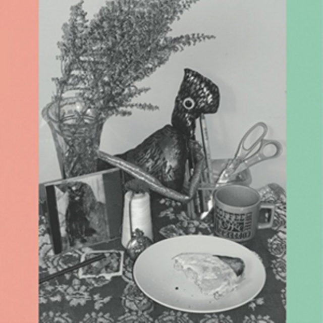 VINCENT OVER THE SINK - 22 COLOURED BULL-TERRIERS (2LP) - LP Vinyl