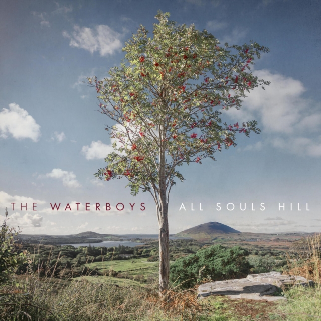 WATERBOYS - ALL SOULS HILL - LP Vinyl