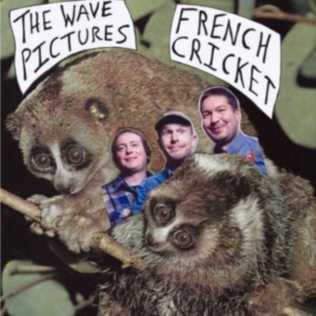 WAVE PICTURES - FRENCH CRICKET (2X7INCH) - 7 inch Vinyl