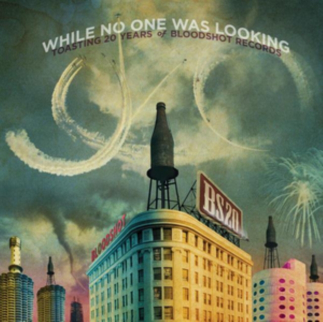 VARIOUS ARTISTS - WHILE NO ONE WAS LOOKING: TOASTING 20 YEARS / VAR - LP Vinyl