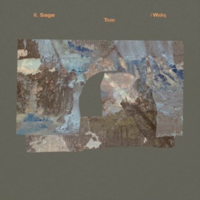 (PRE-ORDER) M. SAGE - TENDER / WADING - LP Vinyl