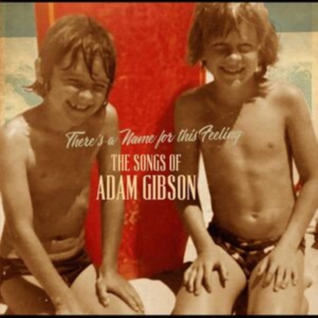 ADAM GIBSON - SONGS OF ADAM GIBSON (2LP) - LP Vinyl